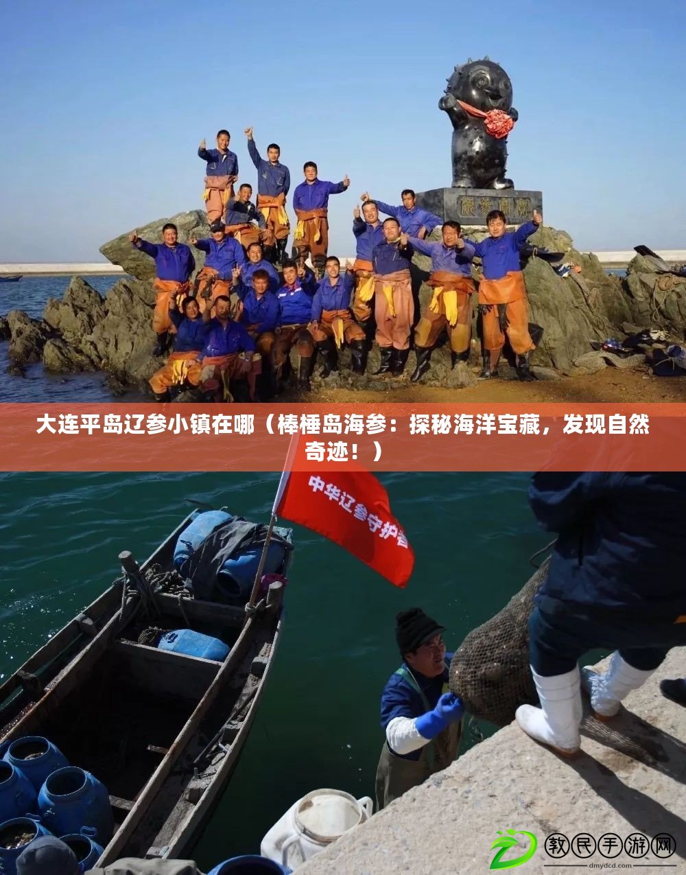 大連平島遼參小鎮在哪（棒棰島海參：探秘海洋寶藏，發現自然奇跡?。? title=