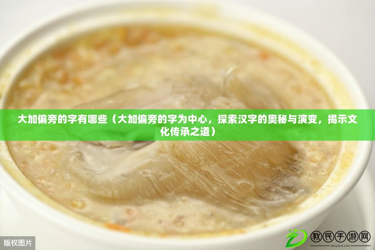 大加偏旁的字有哪些（大加偏旁的字為中心，探索漢字的奧秘與演變，揭示文化傳承之道）
