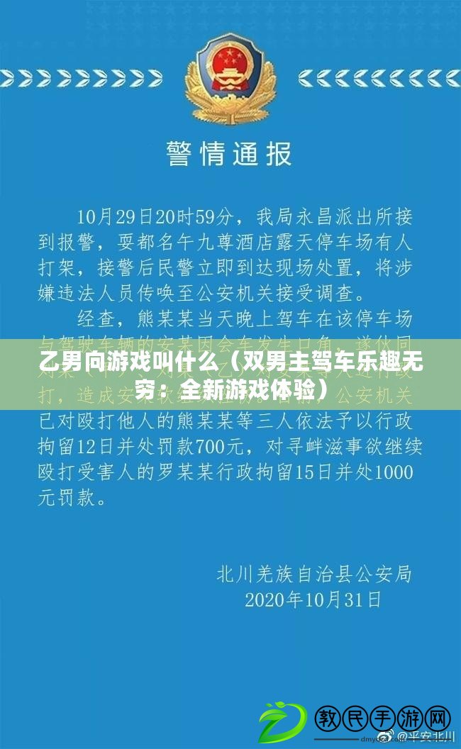 乙男向游戲叫什么（雙男主駕車樂趣無窮：全新游戲體驗）