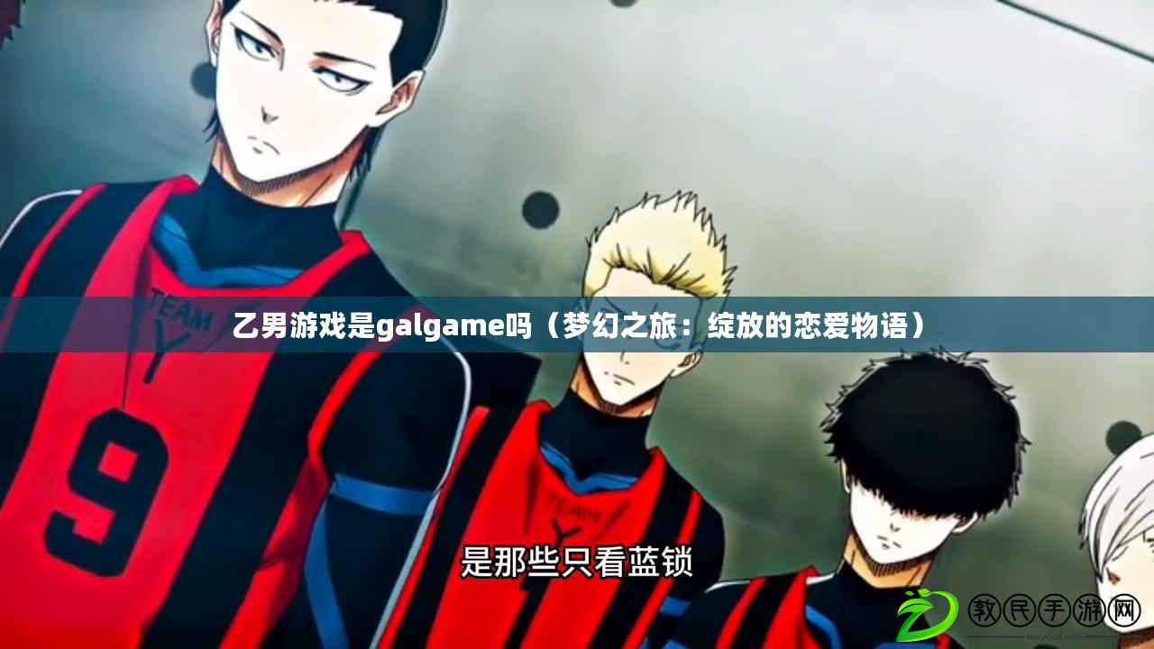 乙男游戲是galgame嗎（夢幻之旅：綻放的戀愛物語）