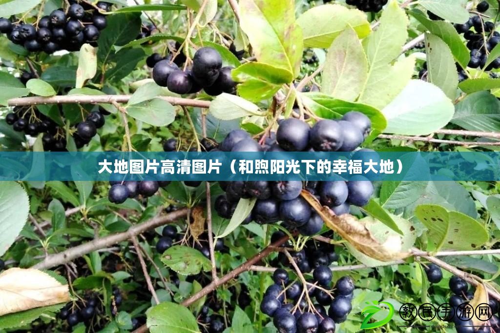 gendarmerie是干嘛的（什么是gendarmie？）