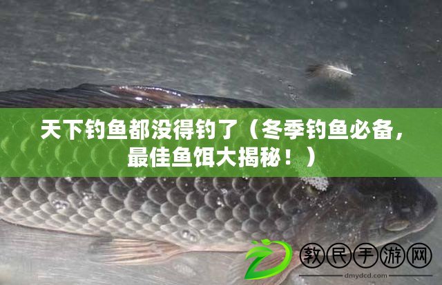 天下釣魚都沒得釣了（冬季釣魚必備，最佳魚餌大揭秘?。? title=