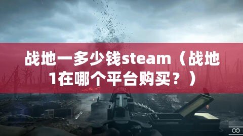 戰地一多少錢steam（戰地1在哪個平臺購買？）
