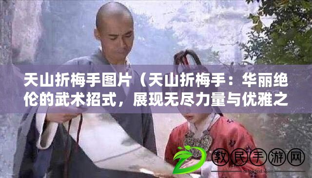 天山折梅手圖片（天山折梅手：華麗絕倫的武術招式，展現無盡力量與優雅之美）