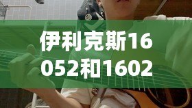伊利克斯16052和16027的區別（伊利克斯與達達里奧：誰更勝一籌？）