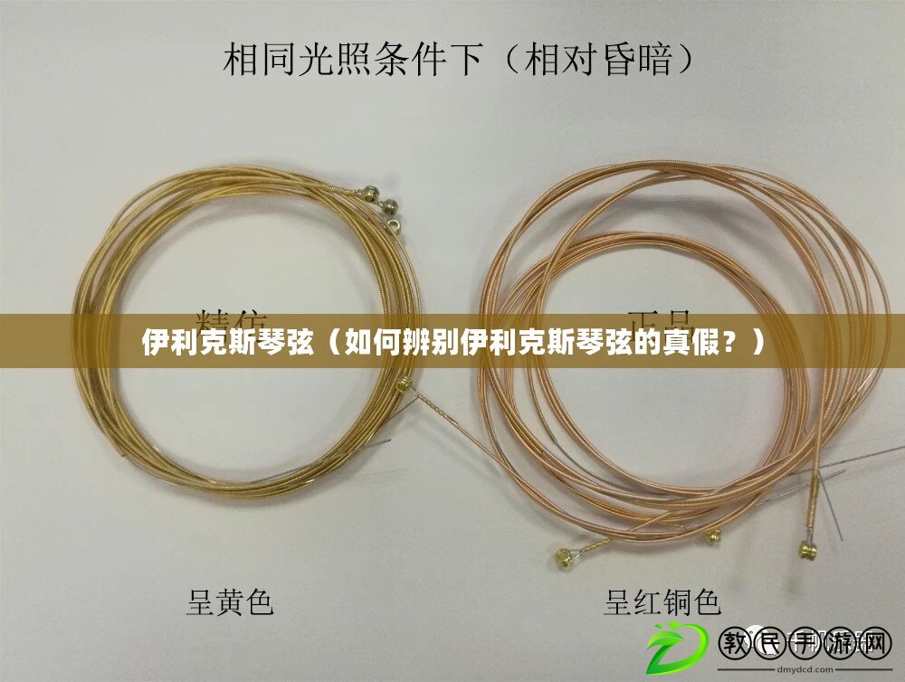 伊利克斯琴弦（如何辨別伊利克斯琴弦的真假？）