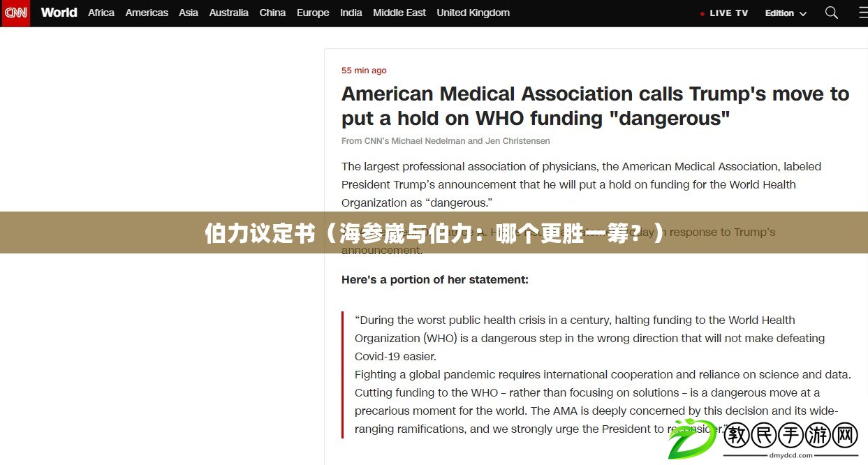 伯力議定書（海參崴與伯力：哪個更勝一籌？）