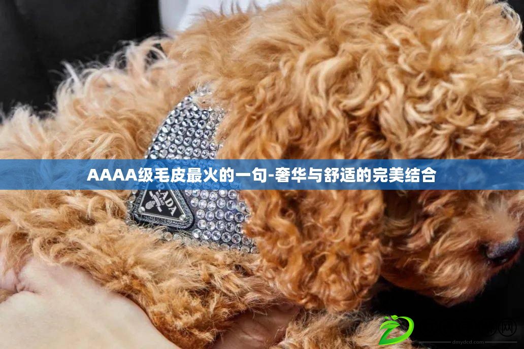 AAAA級毛皮最火的一句-奢華與舒適的完美結合 AAAA級毛皮最火的一句-奢華與舒適的完美結合