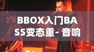 BBOX入門BASS變態重- 音響系統體驗分享！