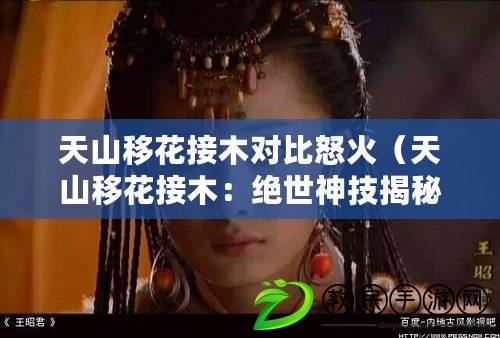 天山移花接木對比怒火（天山移花接木：絕世神技揭秘，驚艷世人的高超手法?。? title=