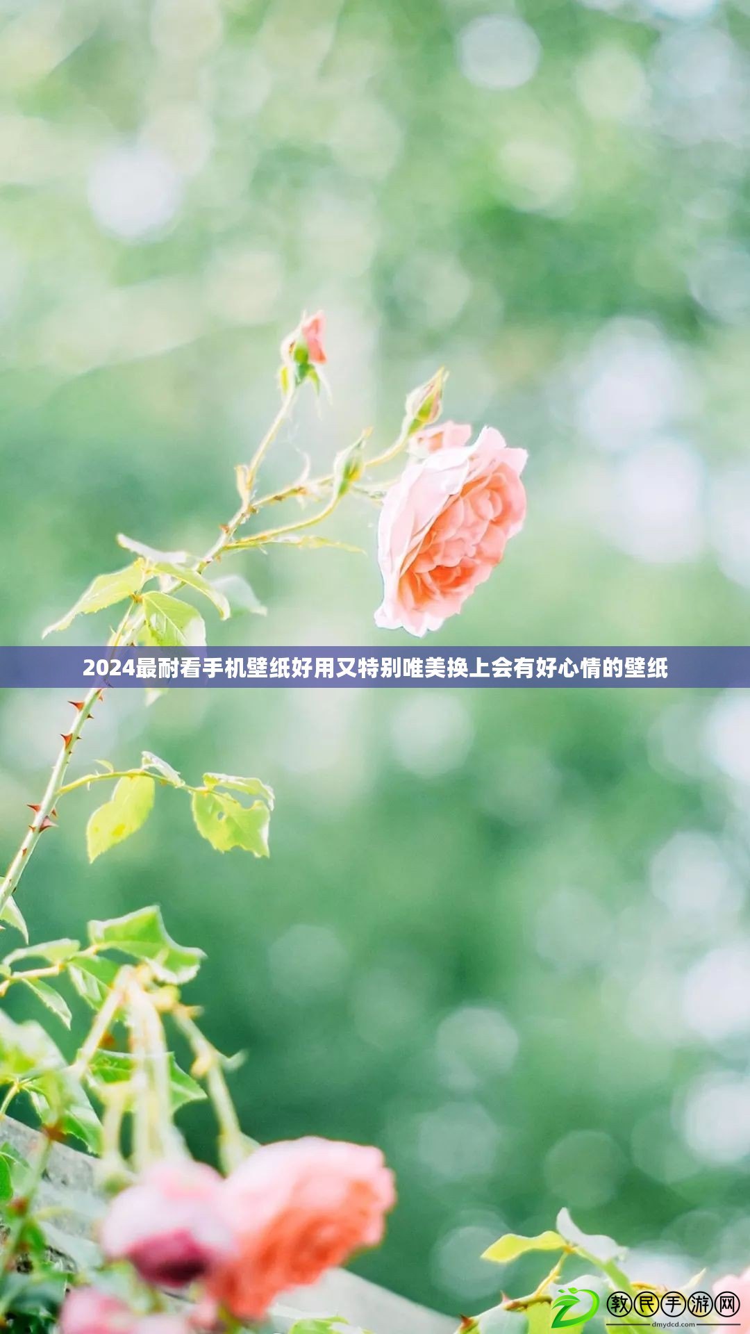 2024最耐看手機壁紙好用又特別唯美換上會有好心情的壁紙