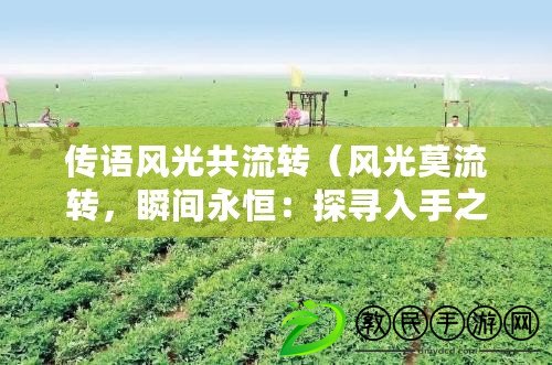 傳語風光共流轉（風光莫流轉，瞬間永恒：探尋入手之美）
