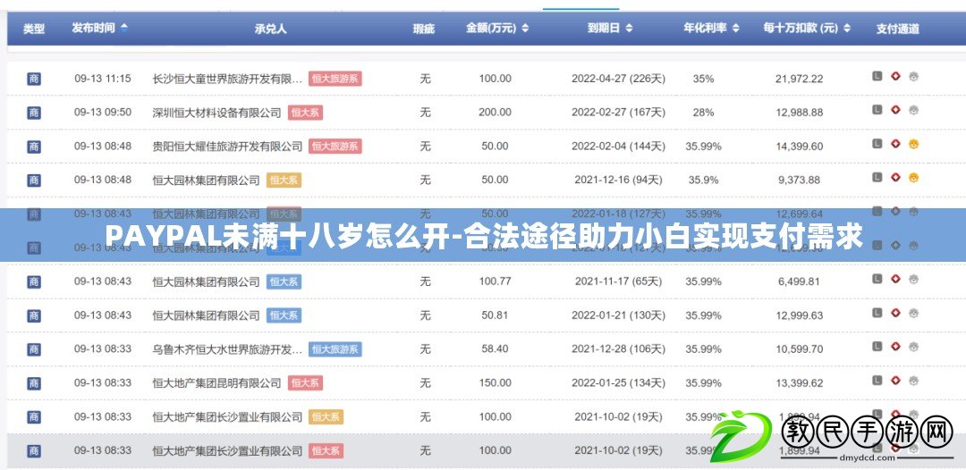 PAYPAL未滿十八歲怎么開-合法途徑助力小白實現支付需求