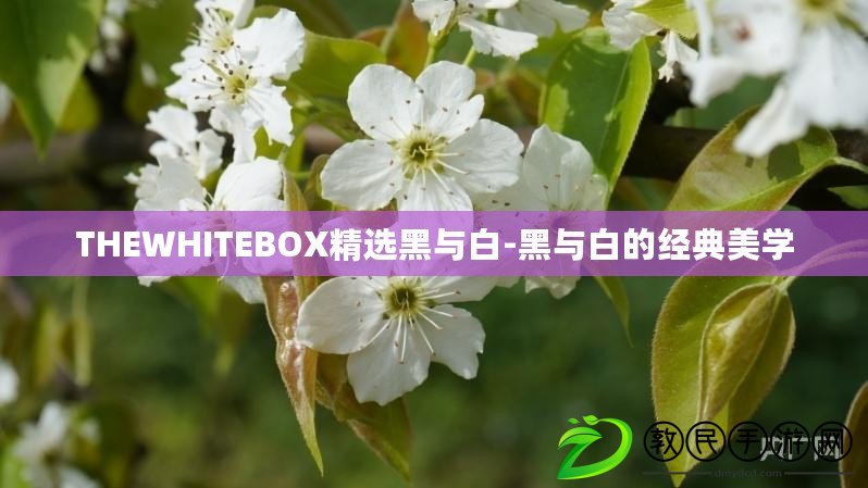THEWHITEBOX精選黑與白-黑與白的經典美學