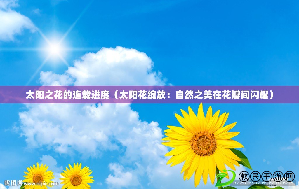太陽之花的連載進度（太陽花綻放：自然之美在花瓣間閃耀）