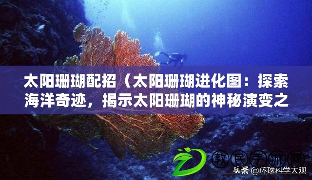 太陽珊瑚配招（太陽珊瑚進化圖：探索海洋奇跡，揭示太陽珊瑚的神秘演變之路）