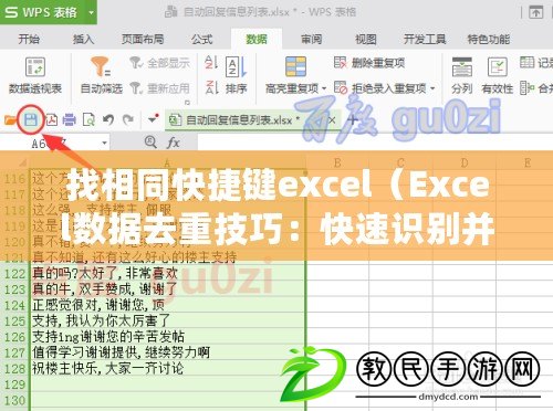 找相同快捷鍵excel（Excel數據去重技巧：快速識別并刪除重復數據）
