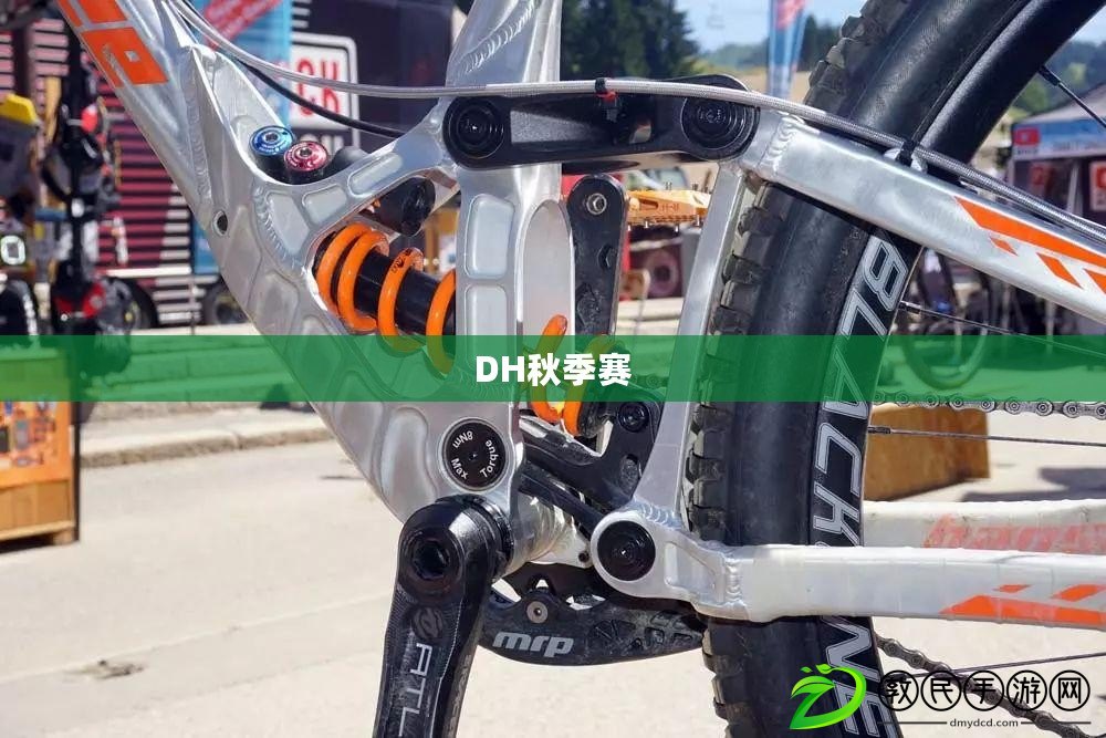 DH秋季賽 DH秋季賽