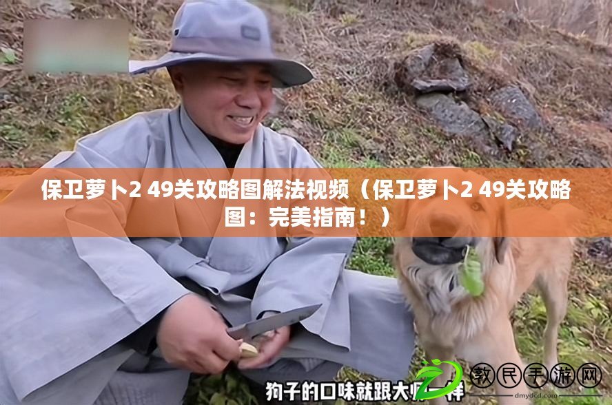 保衛蘿卜2 49關攻略圖解法視頻（保衛蘿卜2 49關攻略圖：完美指南?。? title=
