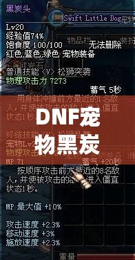 DNF寵物黑炭頭屬性詳解:探秘潛力與技能 DNF寵物黑炭頭屬性詳解:探秘潛力與技能