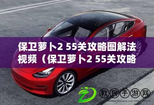 保衛蘿卜2 55關攻略圖解法視頻（保衛蘿卜2 55關攻略圖解法視頻全集下載）
