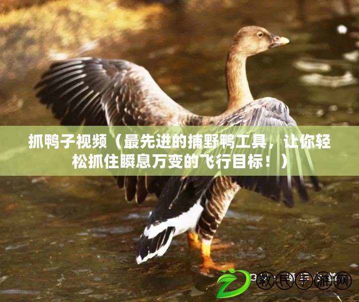 抓鴨子視頻（最先進的捕野鴨工具，讓你輕松抓住瞬息萬變的飛行目標?。? title=