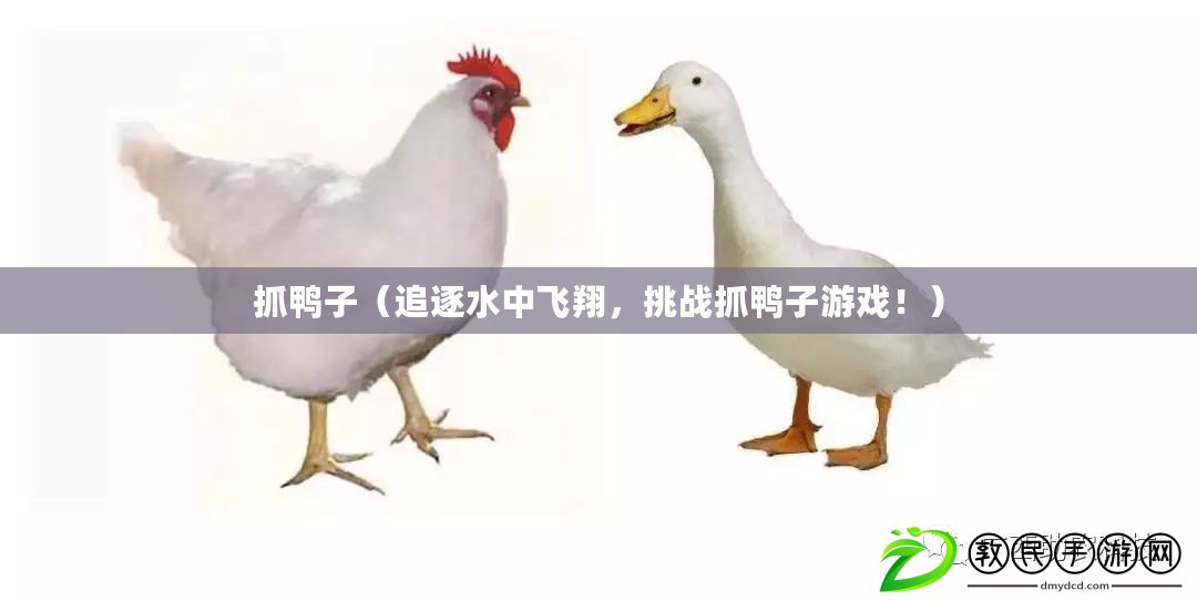 抓鴨子（追逐水中飛翔，挑戰抓鴨子游戲?。? title=
