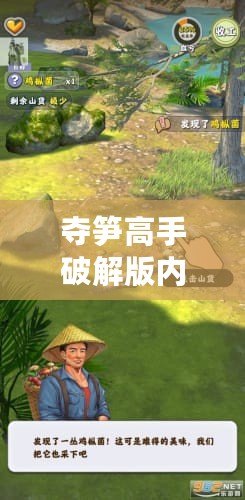 奪筍高手破解版內置MOD菜單（奪筍高手破解版：內置MOD菜單揭秘）