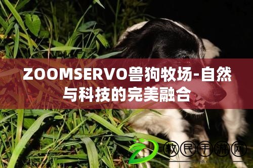ZOOMSERVO獸狗牧場-自然與科技的完美融合