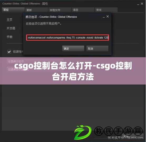 csgo控制臺怎么打開-csgo控制臺開啟方法 csgo控制臺怎么打開-csgo控制臺開啟方法
