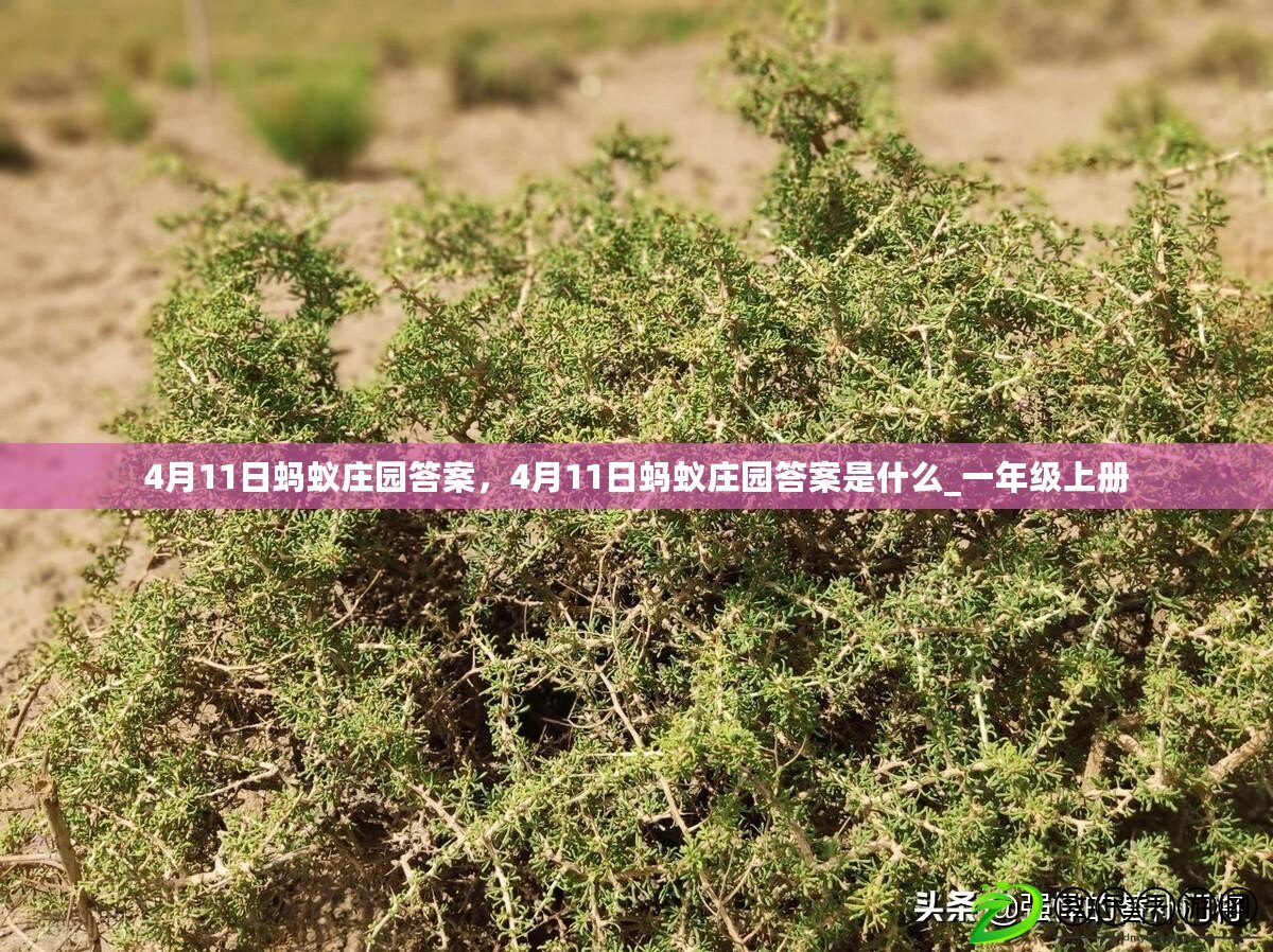 4月11日螞蟻莊園答案，4月11日螞蟻莊園答案是什么_一年級上冊