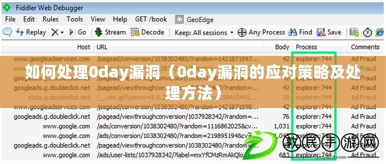 如何處理0day漏洞（0day漏洞的應對策略及處理方法）