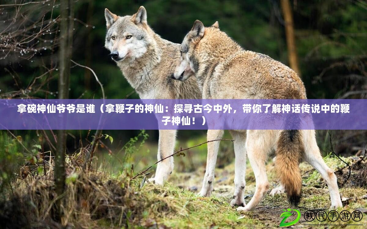 拿碗神仙爺爺是誰（拿鞭子的神仙：探尋古今中外，帶你了解神話傳說中的鞭子神仙?。? title=