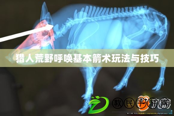 獵人荒野呼喚基本箭術玩法與技巧 獵人荒野呼喚基本箭術玩法與技巧
