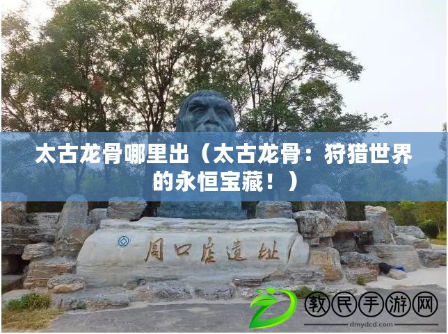 太古龍骨哪里出（太古龍骨：狩獵世界的永恒寶藏?。? title=