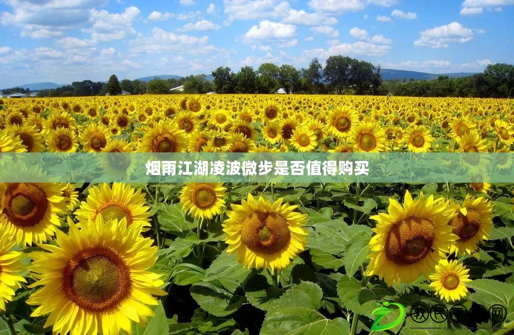 煙雨江湖凌波微步是否值得購買 煙雨江湖凌波微步是否值得購買