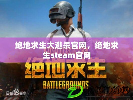 絕地求生大逃殺官網，絕地求生steam官網