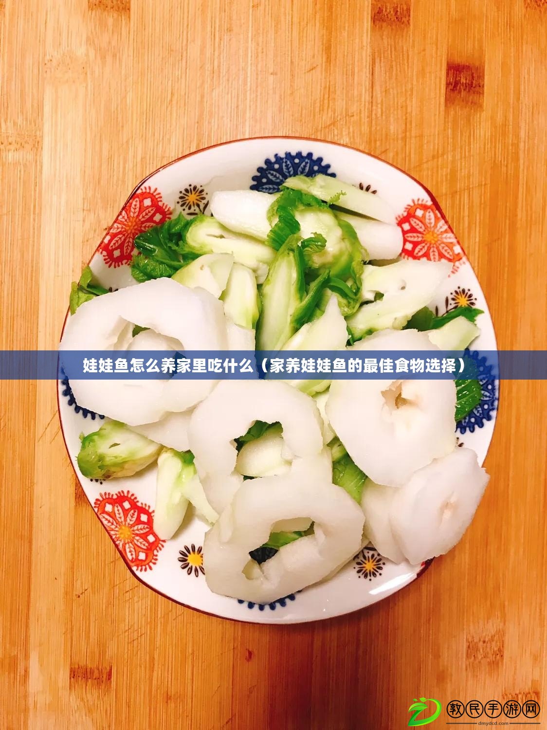 娃娃魚怎么養家里吃什么(家養娃娃魚的最佳食物選擇) 娃娃魚怎么養家里吃什么(家養娃娃魚的最佳食物選擇)
