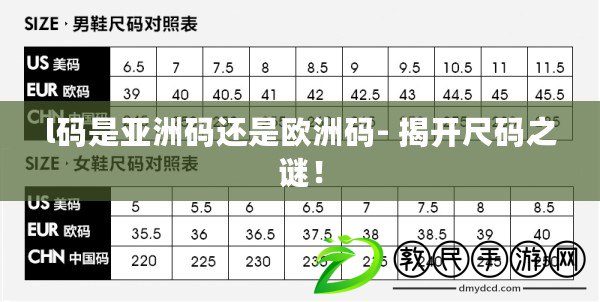 l碼是亞洲碼還是歐洲碼- 揭開尺碼之謎！
