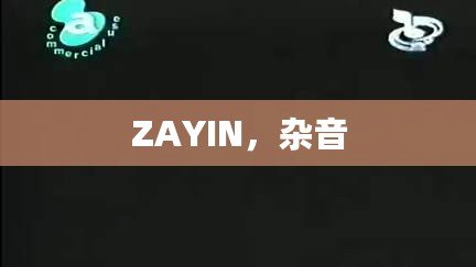 ZAYIN，雜音