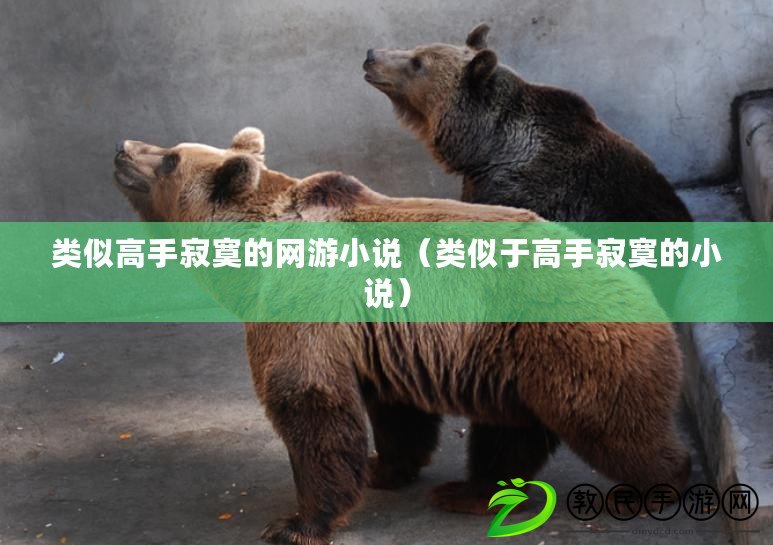 類似高手寂寞的網游小說（類似于高手寂寞的小說）
