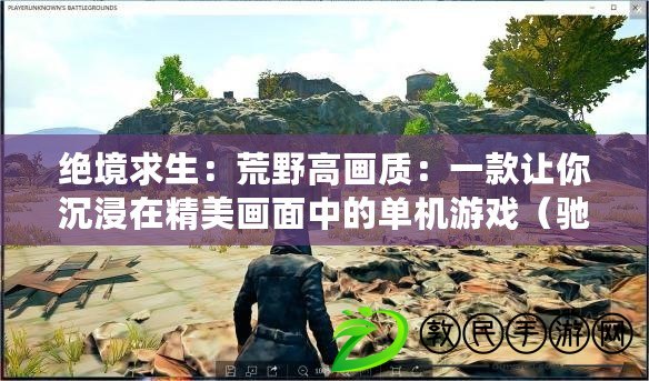 絕境求生：荒野高畫質：一款讓你沉浸在精美畫面中的單機游戲（馳騁戰場：高畫質射擊：帶給你極致視覺享受的好玩手游體驗）