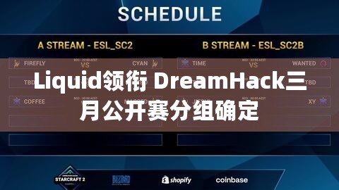 Liquid領銜 DreamHack三月公開賽分組確定 Liquid領銜 DreamHack三月公開賽分組確定