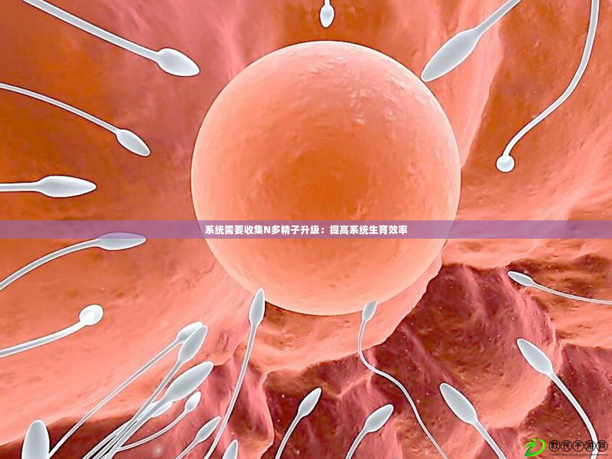 系統需要收集N多精子升級：提高系統生育效率