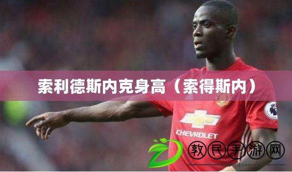 索利德斯內克身高（索得斯內）