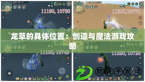 龍草的具體位置：創造與魔法游戲攻略