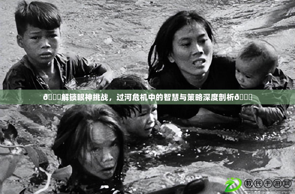 ??解鎖眼神挑戰，過河危機中的智慧與策略深度剖析??