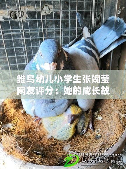 雛鳥幼兒小學生張婉瑩網友評分:她的成長故事引人注目 雛鳥幼兒小學生張婉瑩網友評分:她的成長故事引人注目