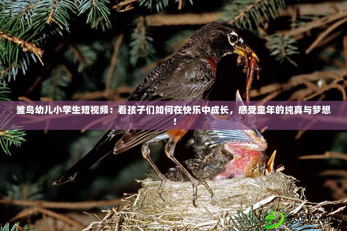 雛鳥幼兒小學生短視頻：看孩子們如何在快樂中成長，感受童年的純真與夢想！