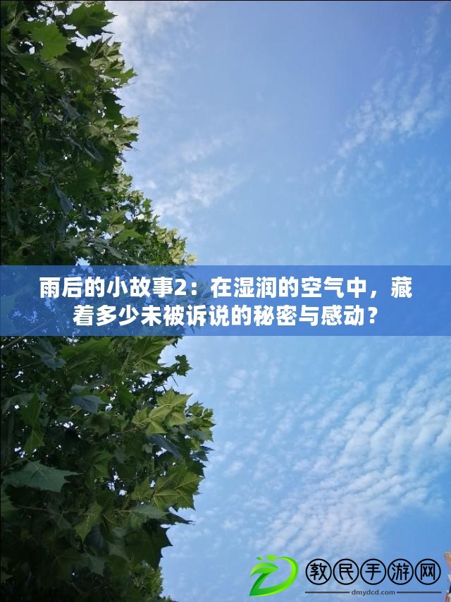 雨后的小故事2：在濕潤的空氣中，藏著多少未被訴說的秘密與感動？